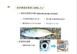 鮮魚センサー資料_ページ2