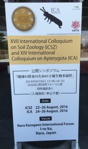 国際土壌動物学会議